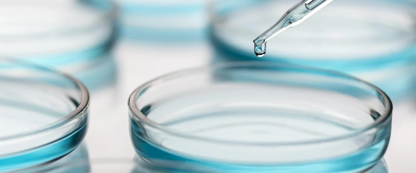 Una pipetta rilascia una goccia di liquido blu in una capsula di Petri durante un'analisi per l'industria conciaria.