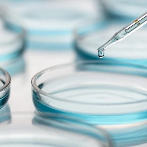 Una pipetta rilascia una goccia di liquido blu in una capsula di Petri durante un'analisi per l'industria conciaria.