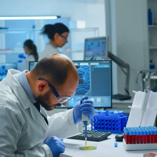 Un ricercatore utilizza una pipetta su una piastra di Petri in un laboratorio di ricerca scientifica.