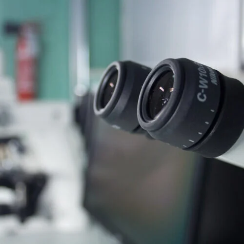 Dettaglio degli oculari di un microscopio ottico utilizzato per le analisi di laboratorio.